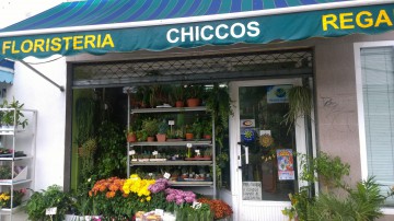 FloristerÃ­a Chiccos