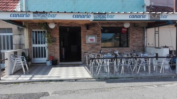Taperia  Canario