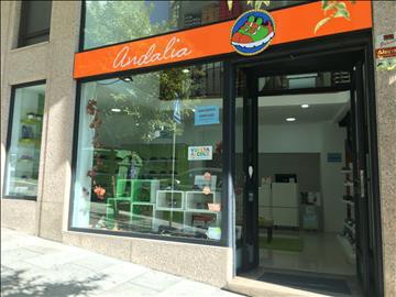 Andalia ZapaterÃ­a Infantil