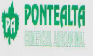 Pontealta