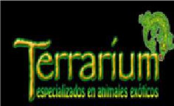 Terrarium