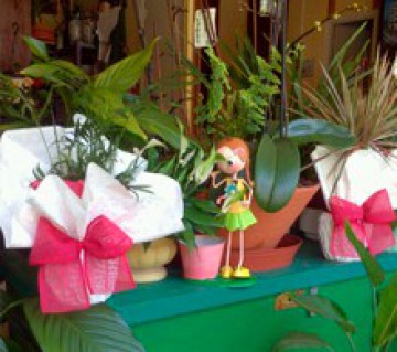FloristerÃ­a Anais