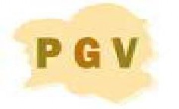 PGV Computers