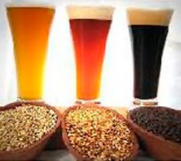 CervecerÃ­a Rey