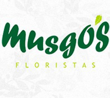 Musgo