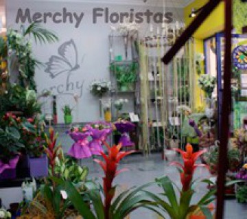 Merchy Floristas