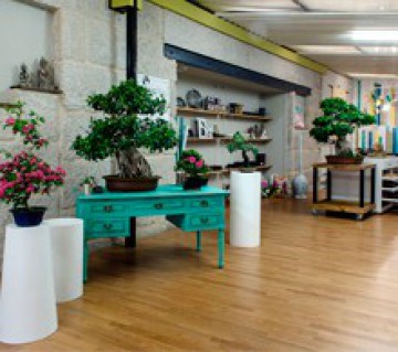 Arte Bonsai