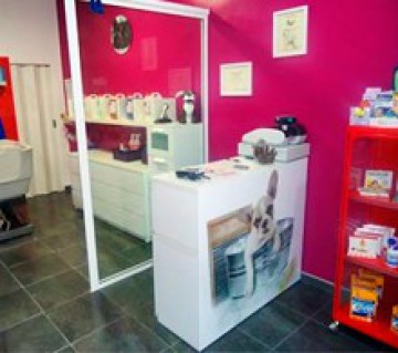 PeluquerÃ­a Canina