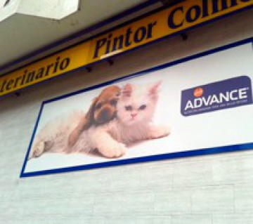 Centro Veterinario Pintor Colmeiro