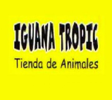 Iguana Tropic