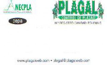 Plagal
