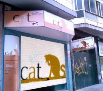 Cats